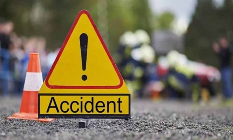 इंदौर से प्रयागराज जा रही यात्री बस ने बाड़ी के पास सड़क पर बैठी 18 गायों को कुचला, 13 की मौत