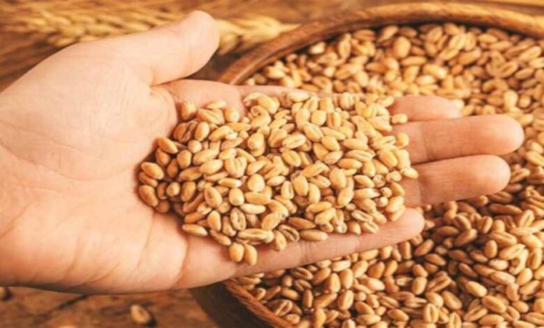 प्रदेश सरकार हर बार की तरह इस बार भी न्यूनतम समर्थन मूल्य पर गेहूं का उपार्जन करेगी