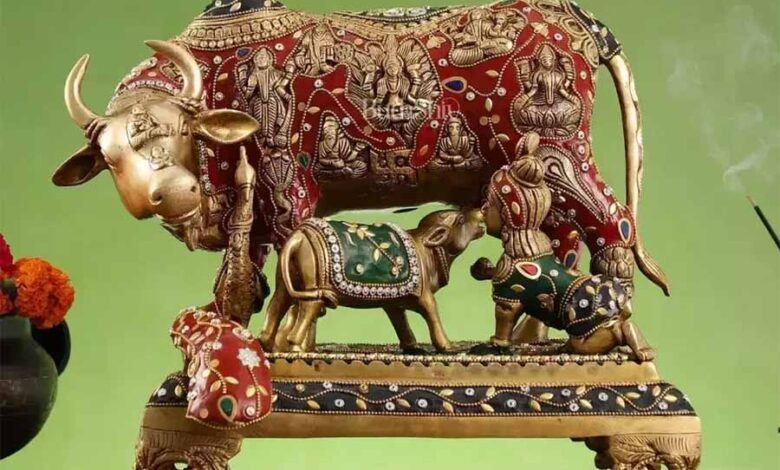 वास्तु के अनुसार कामधेनु गाय की मूर्ति या तस्वीर घर में रखने से मिलते हैं कई लाभ