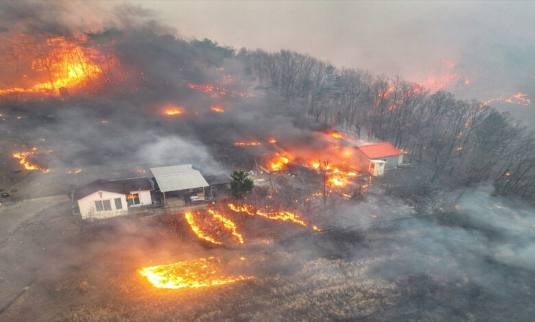 द कोरिया में जंगल की आग ने मचाया कोहराम, 18 की मौत, 1300 साल पुराना बौद्ध मठ खाक