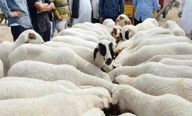 इस्लामिक देश के सुल्तान ने मुस्लिमों से की अपील बकरीद पर ना दें कुर्बानी