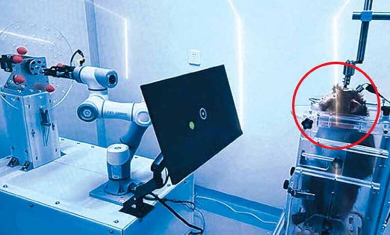 न्यूरालिंक को पछाड़ने चीन ब्रेन चिप इम्प्लांट करने की बना रहा योजना