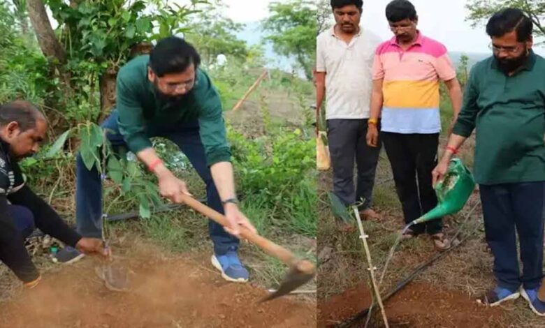 फिर से किसाने बने डिप्टी सीएम एकनाथ शिंदे, लगाए एवोकाडो के कई पौधे