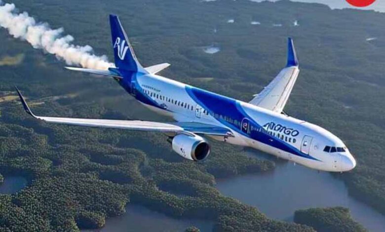 इंडिगो ने उड़ानों को 10 दिनों के लिए किया रद, पाकिस्तानी एयर स्पेस बंद होने से फ्लाइट्स पर असर