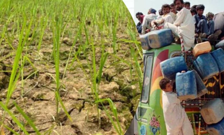 पाक को मिलने वाली आर्थिक मदद हुई कम, कुपोषण जैसे चुनौतियों से निपटने चल रहे कार्यक्रम पड़े कमजोर