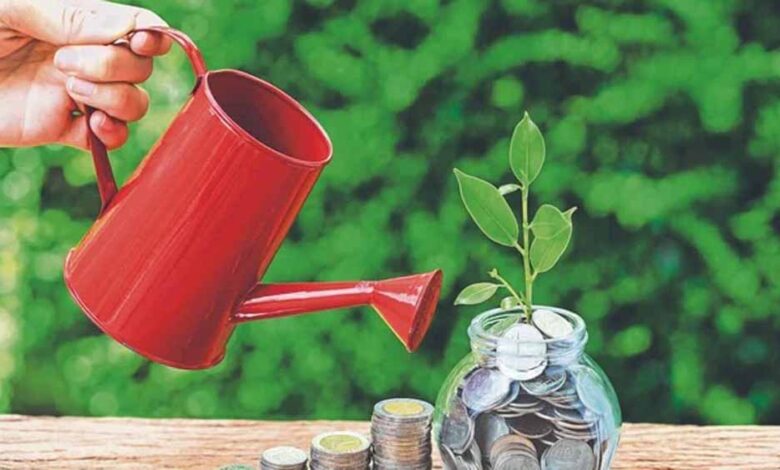 छोटी बचत योजनाओं पर घट सकता है ब्याज! सुकन्या-PPF खाताधारकों के लिए अलर्ट