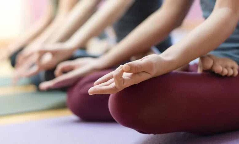 नसों की ब्लॉकेज होगी दूर, शरीर रहेगा लचीला – Khabar Jagat