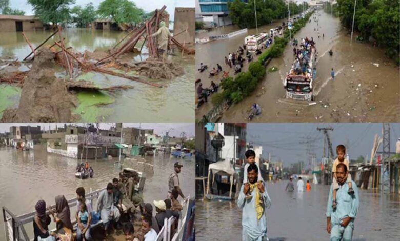 पाकिस्तान में बारिश का कहर: अब तक 221 लोगों की मौत, हालात बदतर
