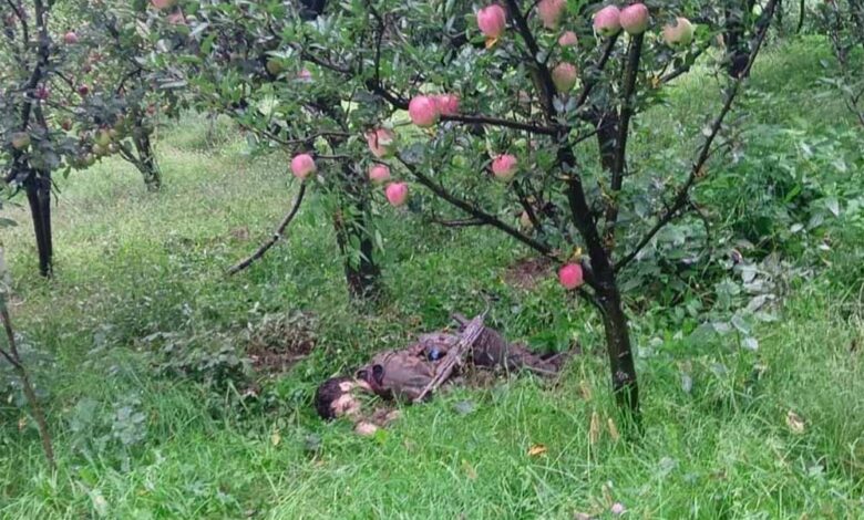 दो आतंकी ढेर, दो जवान शहीद, दो घायल – Khabar Jagat