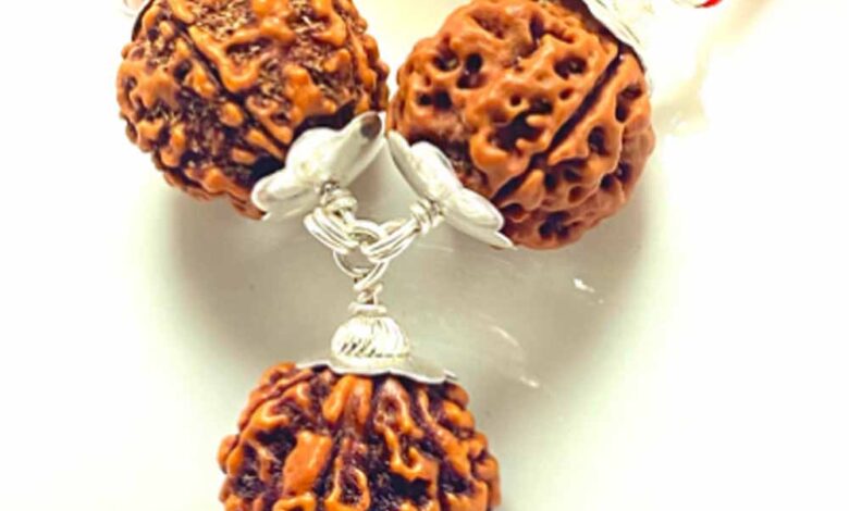 सर्वविध कल्याणकारी है रुद्राक्ष-कवच