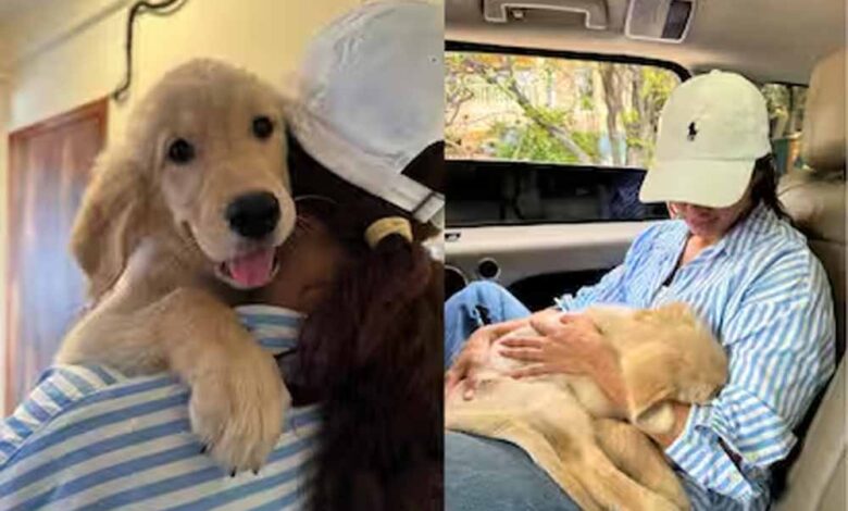 तृप्ति डिमरी के घर गूँजी किलकारियाँ? एक्ट्रेस ने शेयर किया नया पोस्ट