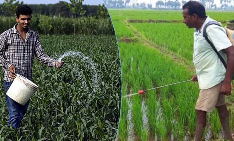 MP में खेती का रकबा घटा, लेकिन रासायनिक खाद की खपत पहुंची रिकॉर्ड स्तर पर