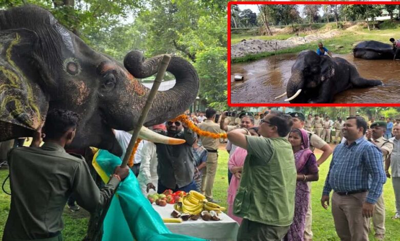 मध्यप्रदेश में सात दिवसीय हाथी महोत्सव का शुभारंभ – Khabar Jagat