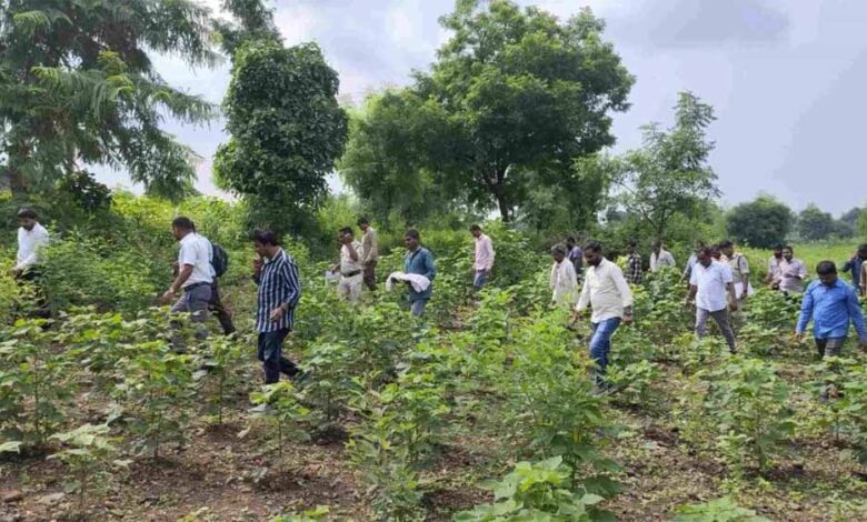 15 दिन बाद कब्र से निकाला गया बच्चे का शव, पोस्टमार्टम से खुलेंगे राज – Khabar Jagat