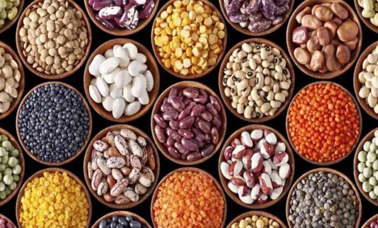 MP के तीन जिलों में खुलेगा Oil Seed Hub, किसानों को मिलेगा उन्नत बीज और तकनीक का लाभ