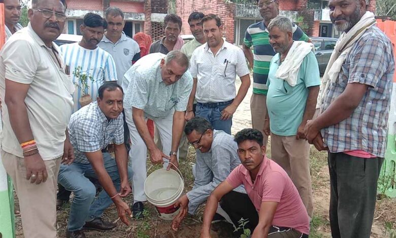 नगरीय निकायों में शुरू हुआ सेवा पखवाड़ा – Khabar Jagat