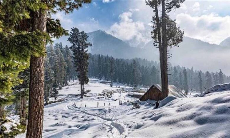 Jammu Kashmir में इस साल पहली बर्फबारी कब? IMD ने जारी किया अपडेट