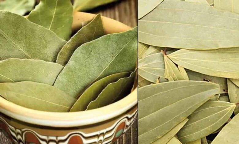 सुबह उठते ही पिएँ यह चाय, शुगर लेवल रहेगा कंट्रोल में