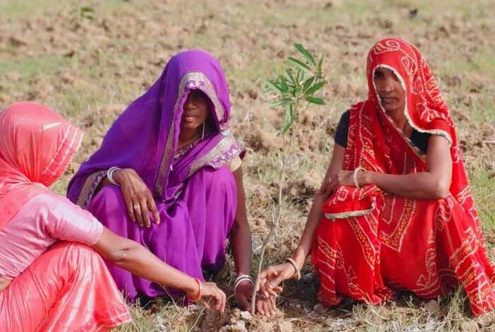 सिंगरौली, खंडवा, रायसेन और देवास में लक्ष्य से अधिक स्वीकृति – Khabar Jagat