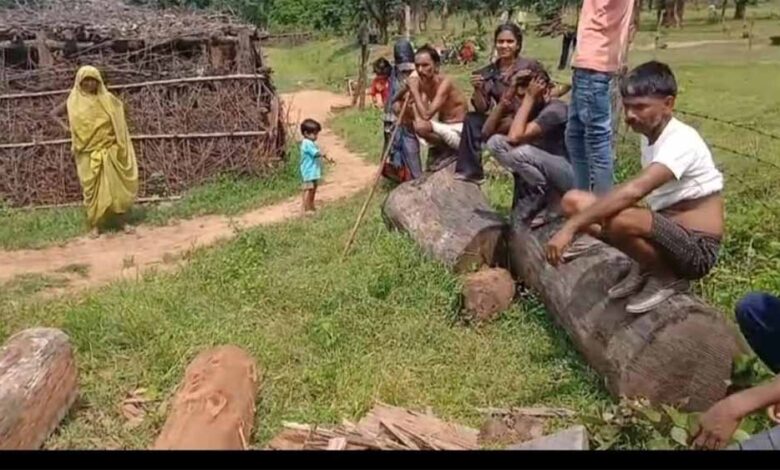 आरोपियों ने वन टीम के सामने फाड़ा सर्च वारंट, मचा हड़कंप – Khabar Jagat