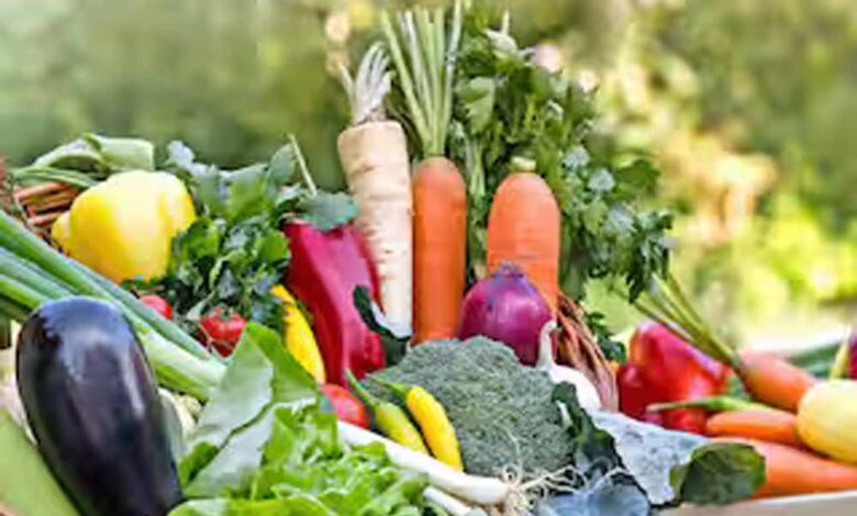 सितंबर में ये फसलें उगाएं, कुछ ही महीनों में पाएं सालभर की आमदनी!