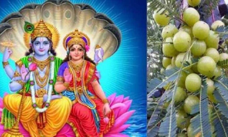 लक्ष्मी कृपा से मिलेगा धन, सुख और मोक्ष का वरदान – Khabar Jagat