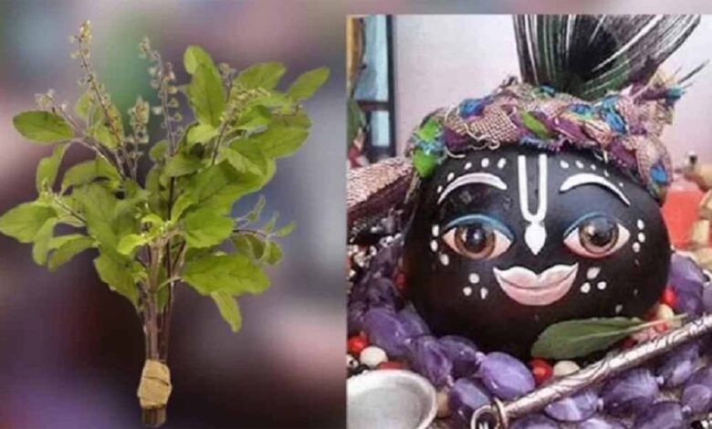 जानें भगवान विष्णु के इस अद्भुत रूप की कथा – Khabar Jagat