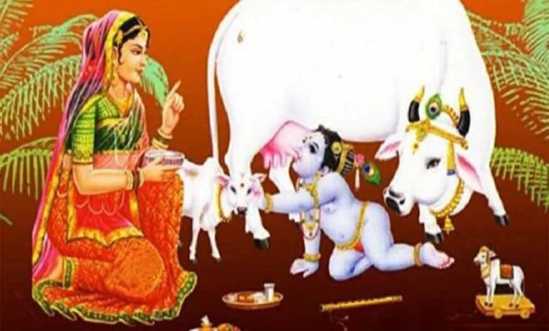 दीपावली पंचपर्व की शुरुआत आज गोवत्स द्वादशी से, जानें शुभ मुहूर्त और महत्व