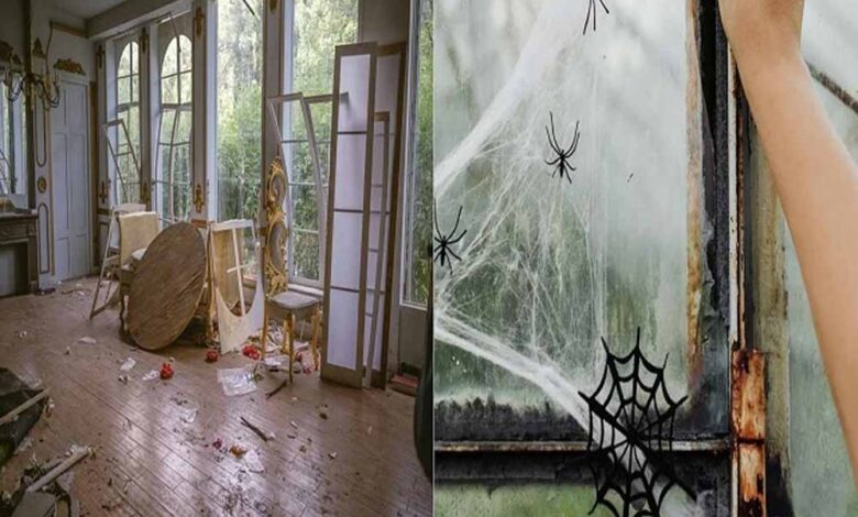 दीवाली से पहले घर से निकाल दें ये अशुभ वस्तुएं, वरना अलक्ष्मी कर सकती हैं प्रवेश!