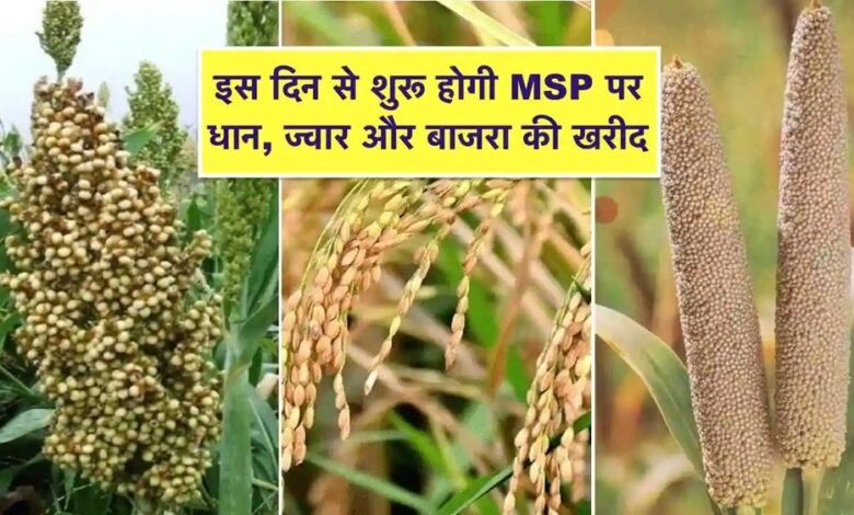 समर्थन मूल्य पर धान, ज्वार, बाजरा उपार्जन के लिए 8 लाख 53 हजार 911 किसानों ने कराया पंजीयन