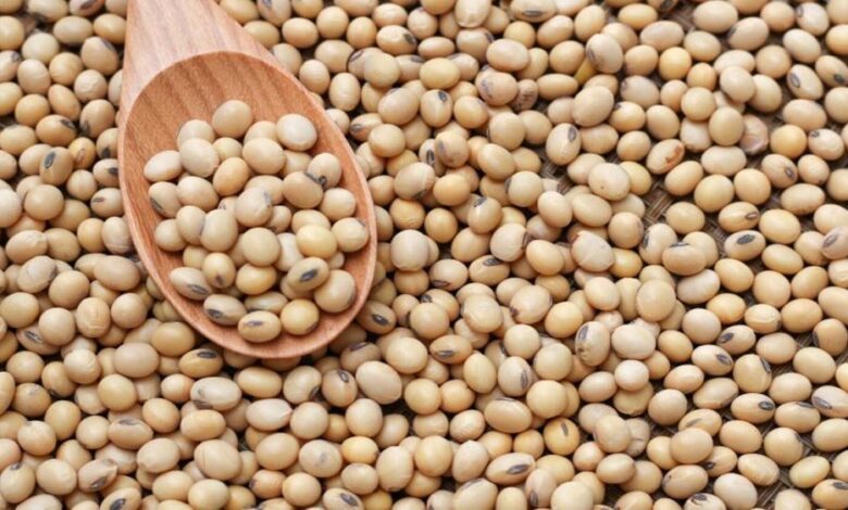 सागर में CCTV निगरानी में होगी सोयाबीन खरीदी, किसानों को MSP पर मिलेगा लाभ