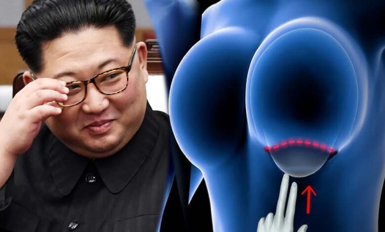 उत्तर कोरिया में ब्रेस्ट इम्प्लांट और प्लास्टिक सर्जरी पर सख्त प्रतिबंध – Khabar Jagat