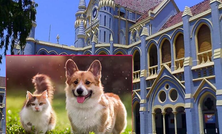 सरकारी आवास पालतू जानवरों के लिए नहीं, केवल परिवार के लिए – Khabar Jagat