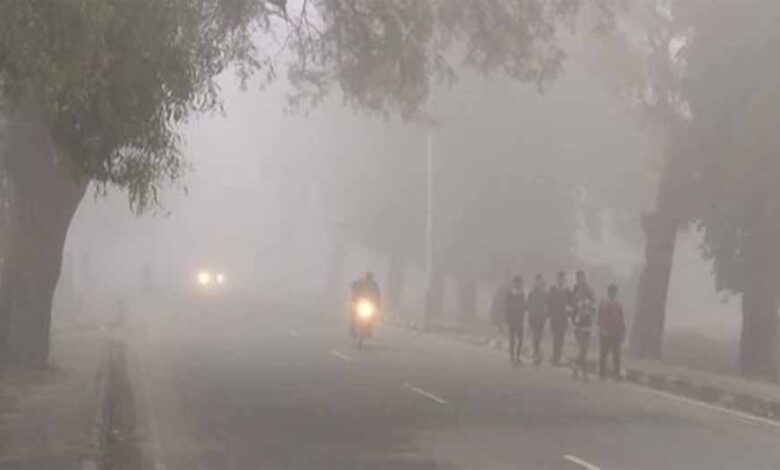 पहली ठंडी हवाओं ने दी दस्तक, इस साल पड़ सकती है कड़ाके की सर्दी!