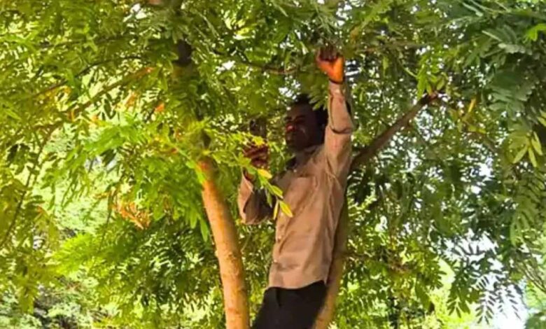 एमपी शिक्षक ने पेड़ पर चढ़कर किया ई-अटेंडेंस, नेटवर्क की समस्या ने बढ़ाई परेशानी