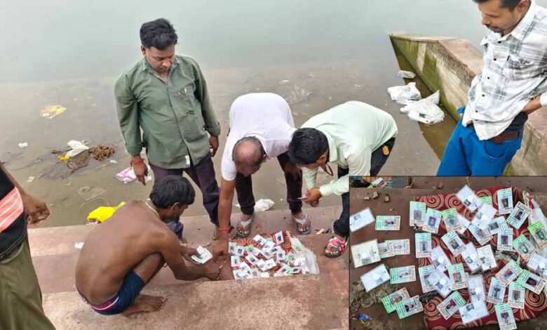 राजा तालाब में मिले सैकड़ों ओरिजनल वोटर आईडी कार्ड,बिजावर में मचा हड़कंप