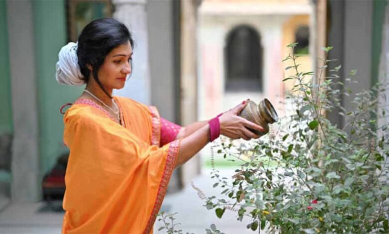 तुलसी से जुड़े नियम भूलें नहीं, तभी मिलेगा व्रत का पूर्ण फल – Khabar Jagat