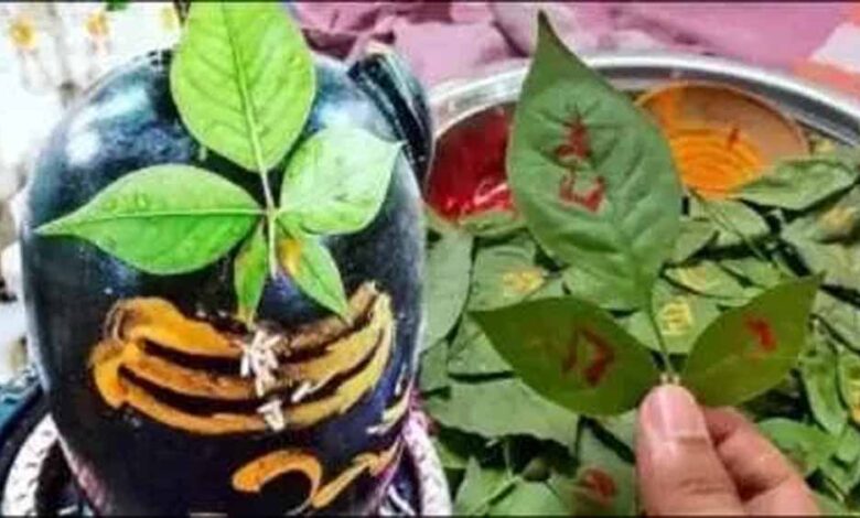 शिवलिंग पर ऐसे चढ़ाए बेलपत्र, खत्म होगी धन संबंधी दिक्कत