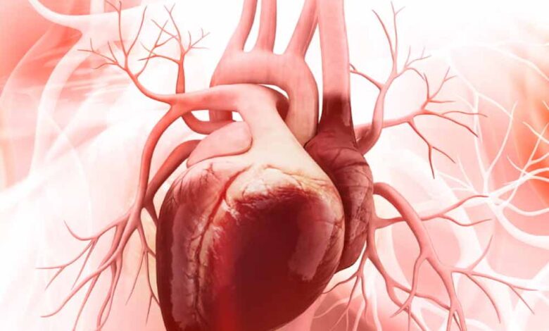 हार्ट डिजीज के ये 5 छुपे संकेत जानें — छोटी बातें जो बड़ा खतरा बन सकती हैं