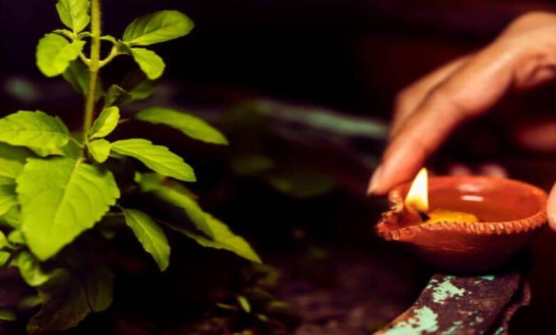 शाम को तुलसी के पास दीया जलाना क्यों माना जाता है शुभ? जानें फायदे