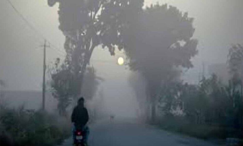 उत्तर भारत में ठंड का कहर शुरू! कोहरे की चादर से ढका उत्तर भारत, IMD ने जारी किया अलर्ट