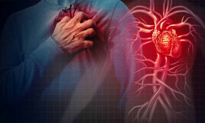 भारत के किन राज्यों में सबसे अधिक हार्ट डिज़ीज़ का जोखिम? – Khabar Jagat