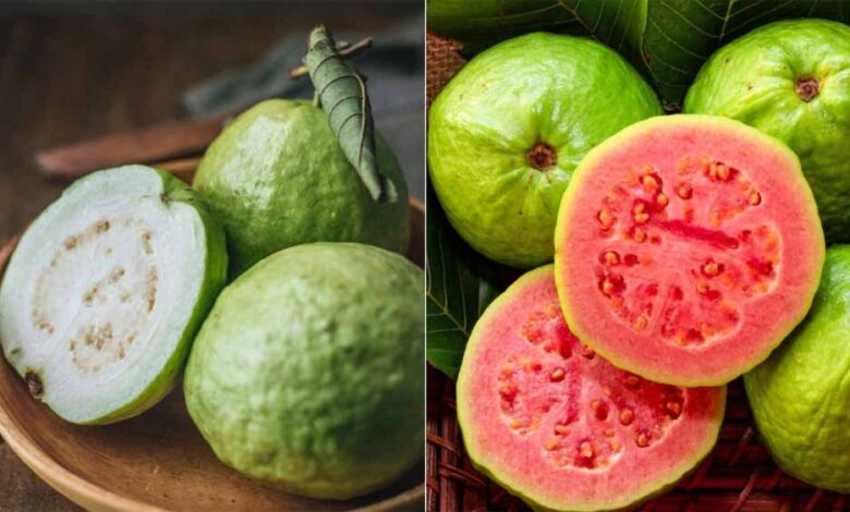 कौन सा अमरूद है ज्यादा फ़ायदेमंद? लाल और सफेद अमरूद के हेल्थ बेनिफिट्स जानें