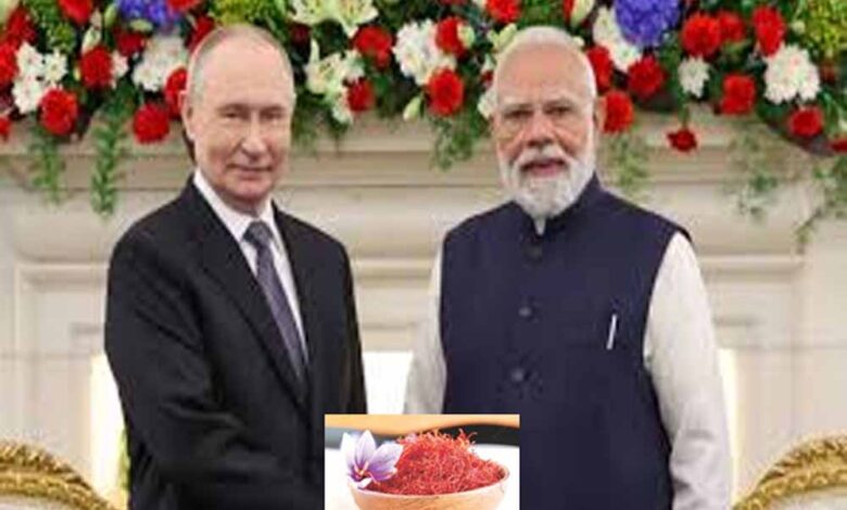 पीएम मोदी का पुतिन को तोहफा बना खास संदेश, कश्मीरी केसर से चमकी जम्मू-कश्मीर के किसानों की उम्मीद