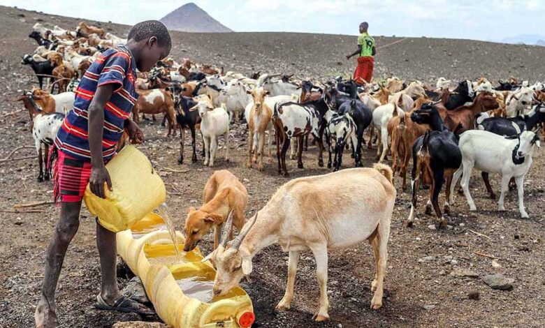 20 लाख लोग भुखमरी की कगार पर, मौत का साया – Khabar Jagat