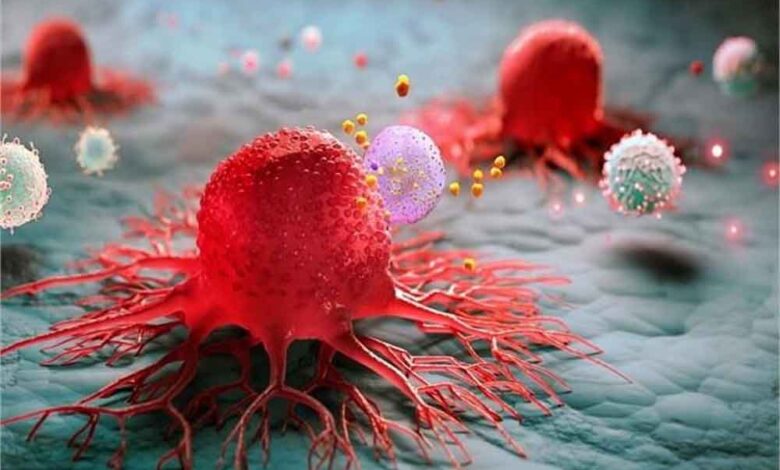 शरीर में चुपके से घर कर रहा है कैंसर! आज नहीं बदलीं ये 4 आदतें तो बढ़ सकता है खतरा